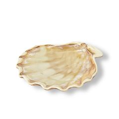 Блюдо 13 см, 100 мл. керамика "Frutti di Mare" P.L.