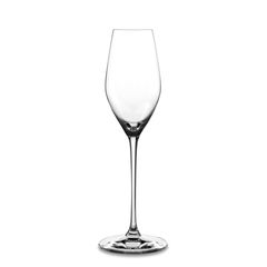 Набор из 12-ти бокалов для шампанского, 300 мл, прозрачный, бессвинцовый хрусталь, серия Superiore, Spiegelau