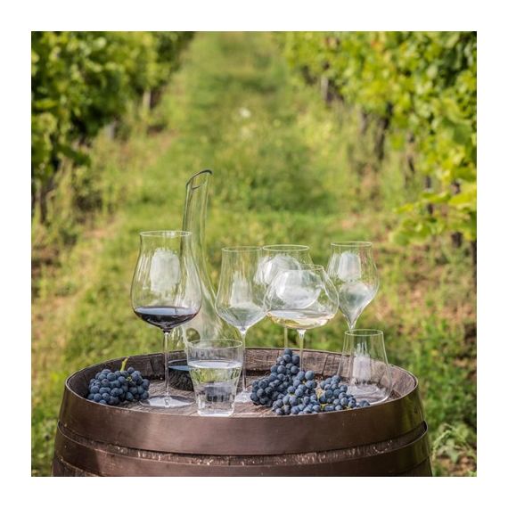 Набор из 6-ти бокалов для вина Linea umana, 0, 76л; D=12, H=22, 4см, Rona, изображение 2