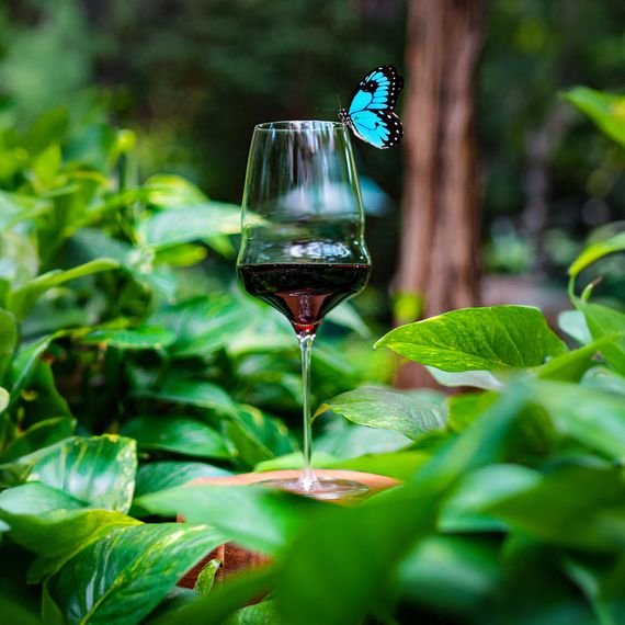 Набор из 6-ти бокалов для красного вина серия Cocoon 609 мл, D94 мм, H251 мм, Stolzle, изображение 7