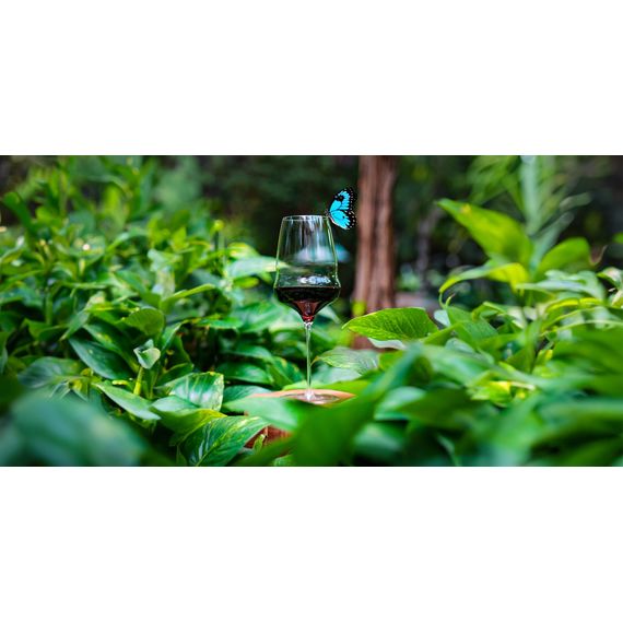 Набор из 6-ти бокалов для красного вина серия Cocoon 609 мл, D94 мм, H251 мм, Stolzle, изображение 8