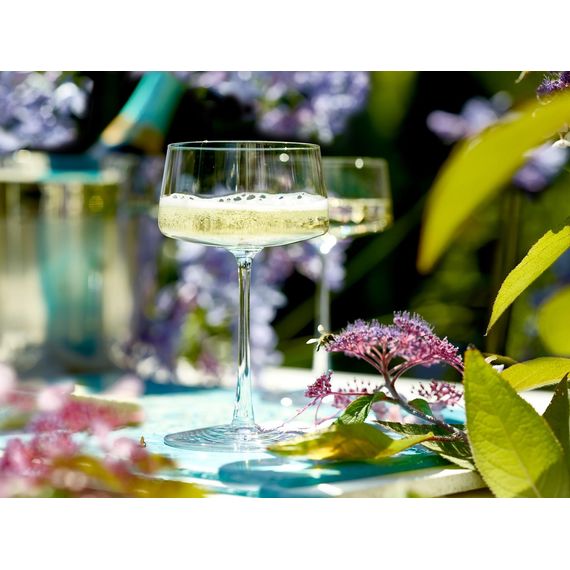 Набор из 6-ти бокалов для шампанского серия Power, 280 мл, D93 мм, H162 мм, Stolzle, изображение 6