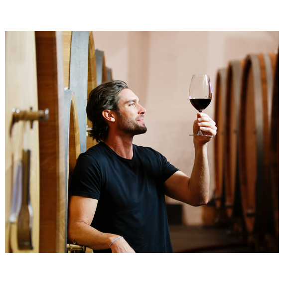 Набор бокалов Vinum Shiraz / Syrah, 4 шт., 700 мл, 5416/30-23, Riedel, изображение 5