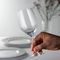 Набор бокалов CHARDONNAY / VIOGNIER RIEDEL RESTAURANT, 12 шт, 350 мл, 0446/05, Riedel, изображение 3