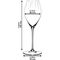 Набор бокалов CHAMPAGNE RIEDEL PERFORMANCE RESTAURANT, 6 шт, 375 мл, 0884/28, Riedel, изображение 4