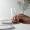 Набор высоких стаканов O Wine Tumbler Champagne Glass, 2 шт., 264 мл, 0414/28, Riedel, изображение 3