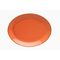 Блюдо овальное 31х24 см, Seasons Оранжевый, Porland
