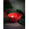 Салатник d 14 см h 7 см 550 мл, Seasons Красный, Porland, изображение 2