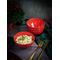 Салатник d 14 см h 7 см 550 мл, Seasons Красный, Porland, изображение 15