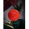 Салатник d 14 см h 7 см 550 мл, Seasons Красный, Porland, изображение 4